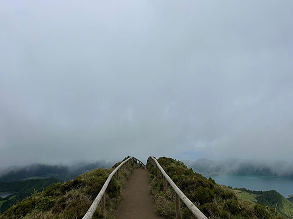 EMDR Consultant Services